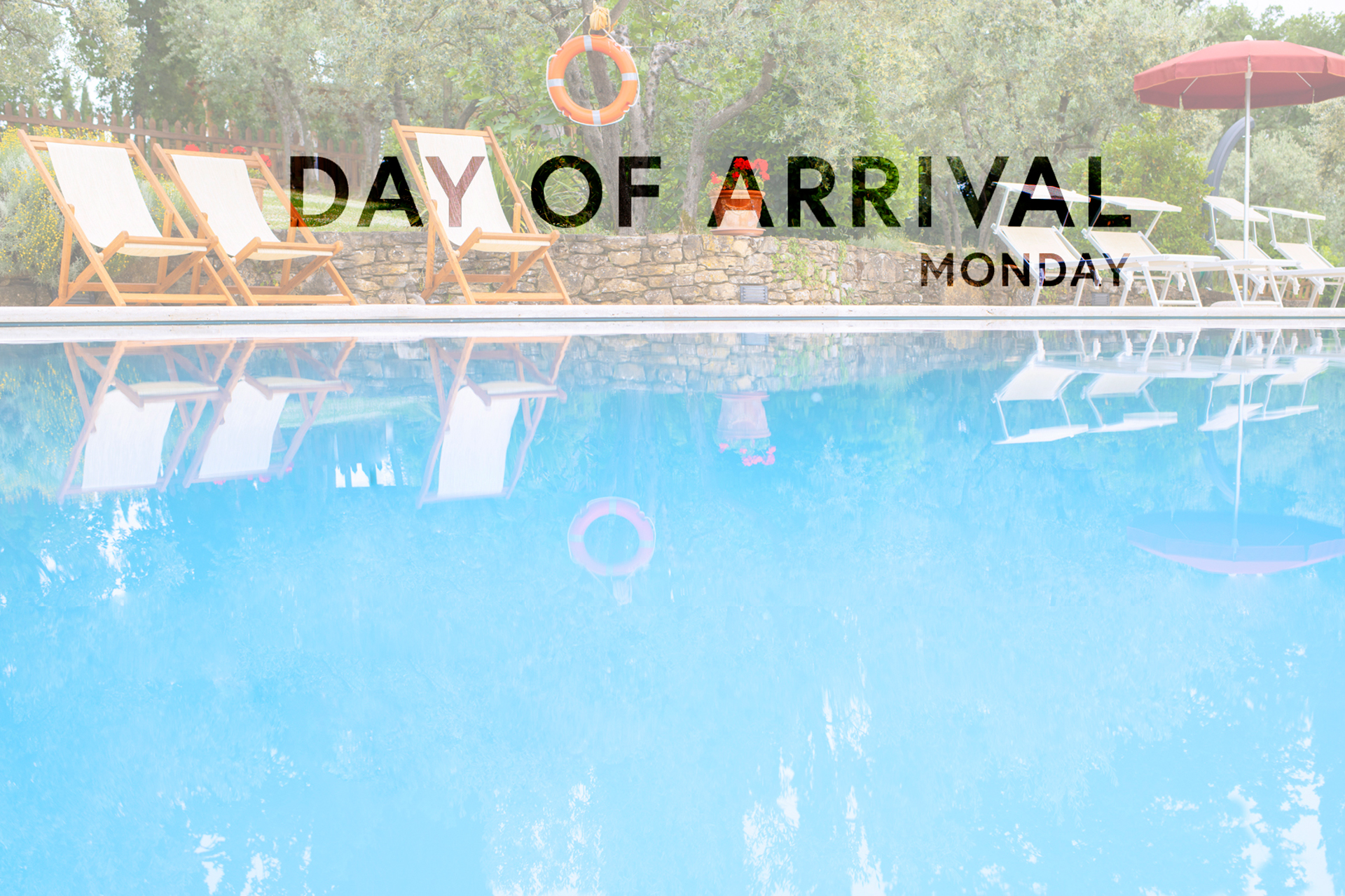 Day of Arrival Bild